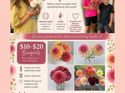 Dahlia Bouquets - Sport Fundraiser