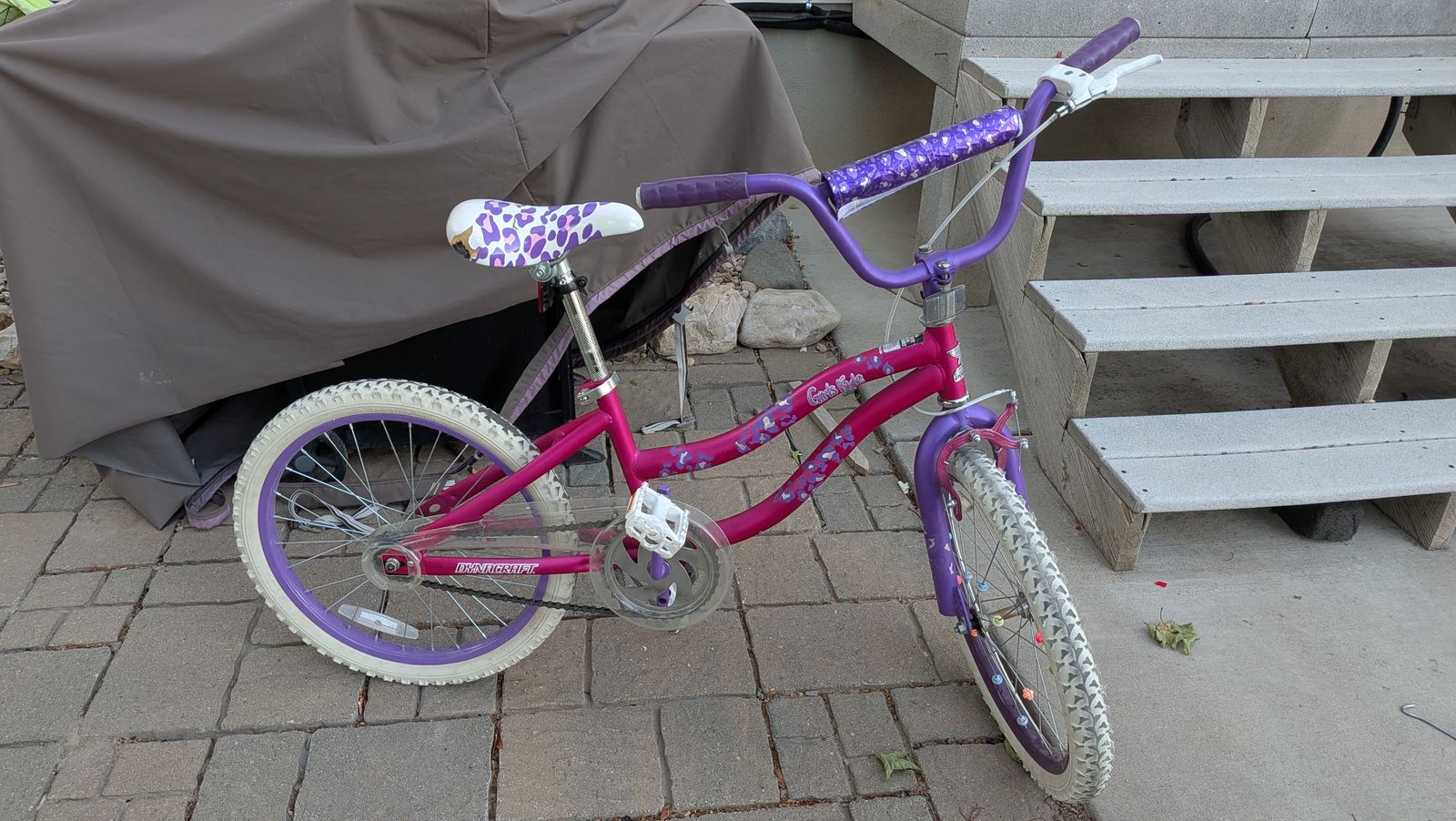 Girls 20 Inch Bike