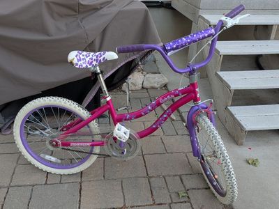 Girls 20 Inch Bike