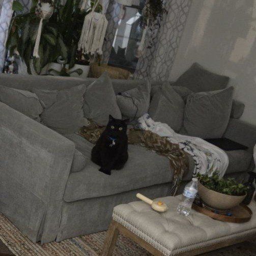 Velvet Gray Sofa Couch with Skirted Base
