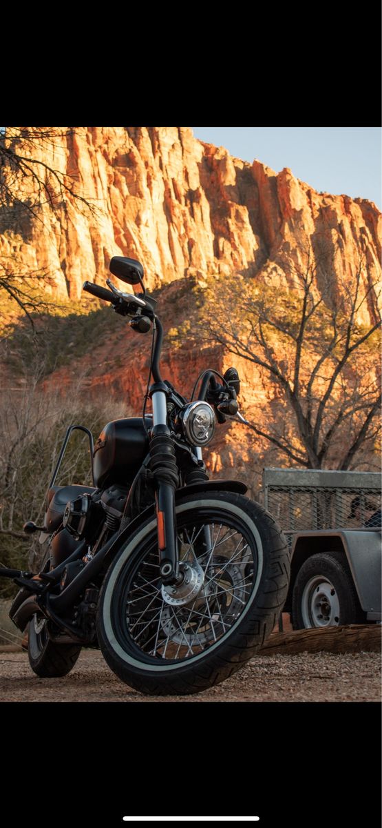 2018 Harley Street Bob 107 (1798cc)