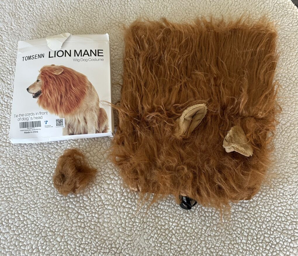 Dog Costume