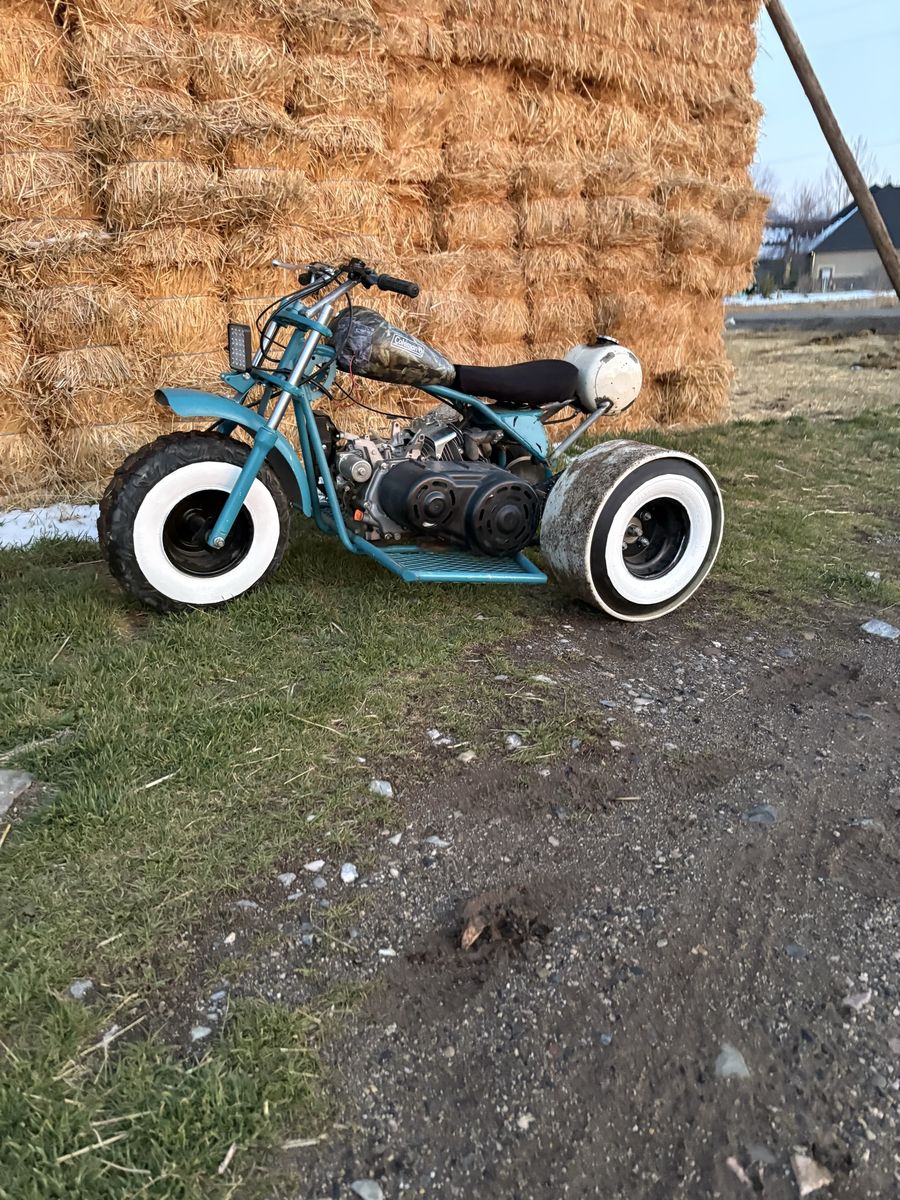 Custom Trike (Trade)