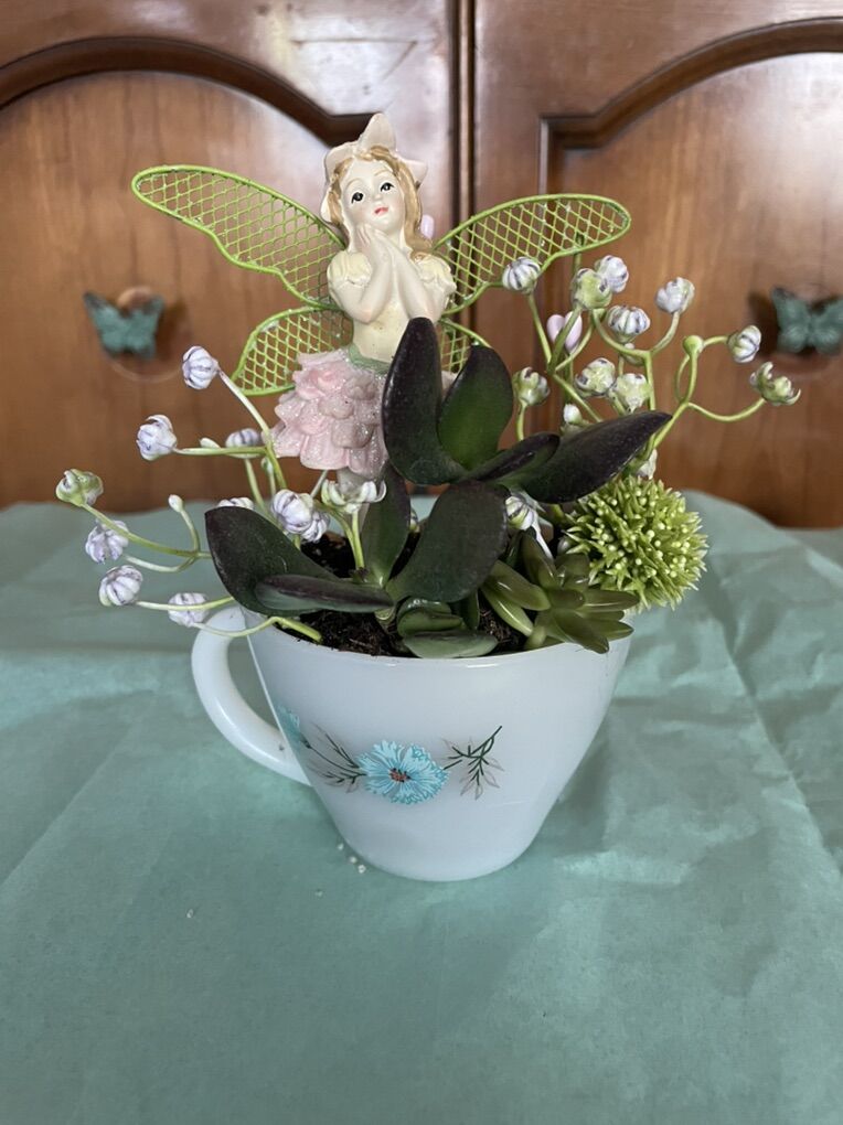 Fairy Garden In Tea Cup