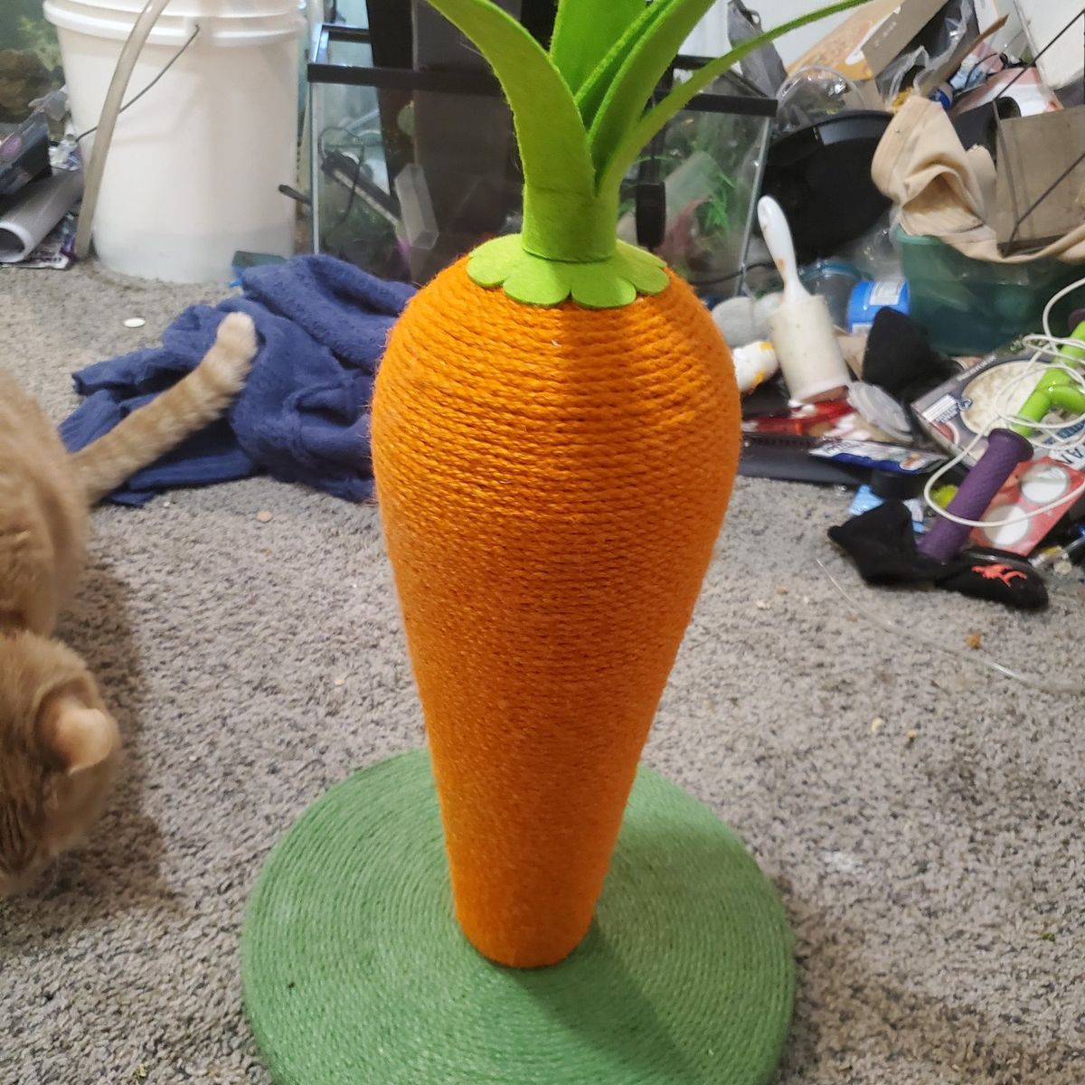 cat toy carrot scratcher
