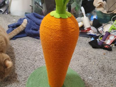 cat toy carrot scratcher