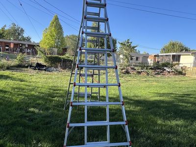 Little Giant MXZ-21 Ladder