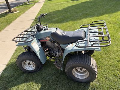 1996 Yamaha Timberwolf 250 Utility ATV 4-Wheeler - 2-wheel drive. Front & Rear Racks new carb and battery