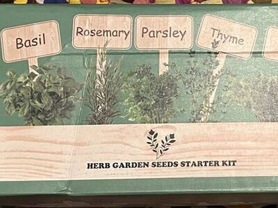Herb garden seeds, starter kit, five herb window garden