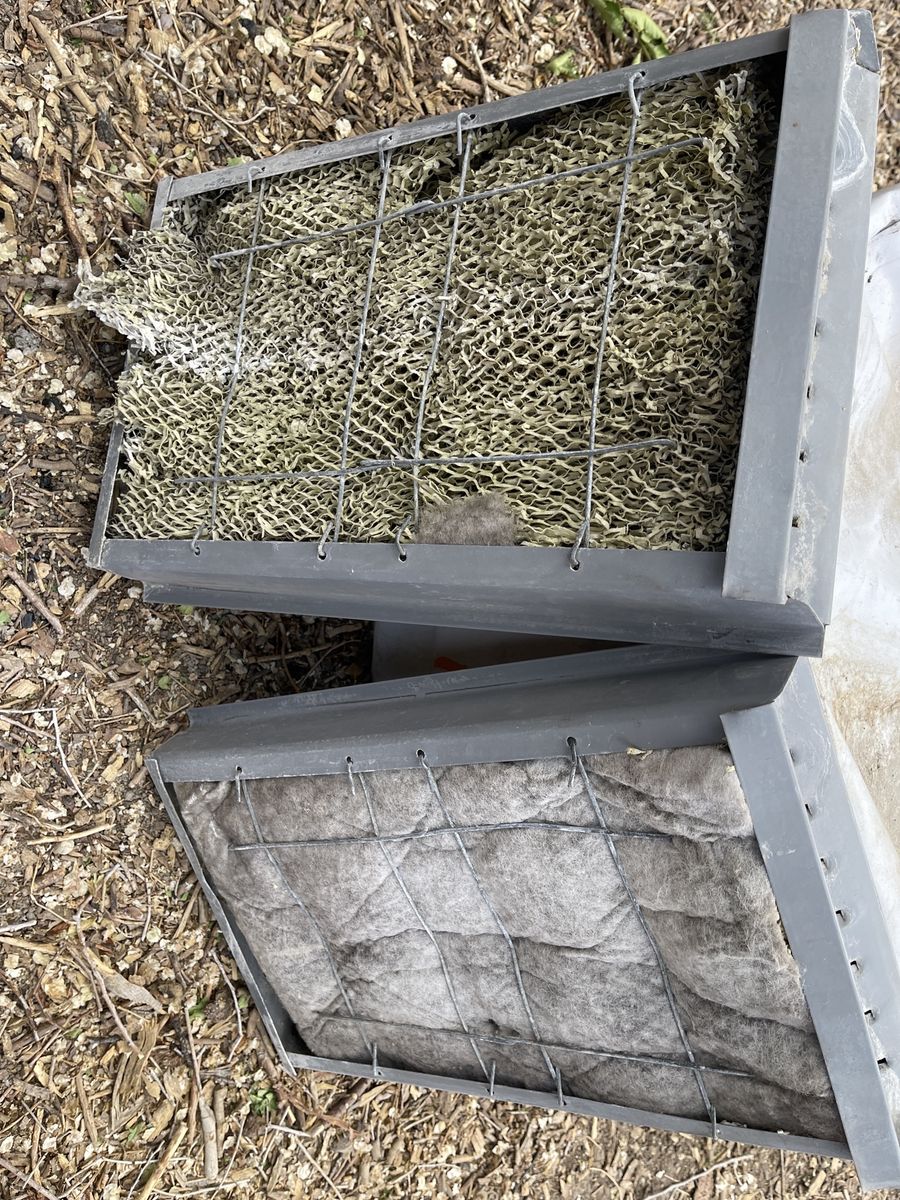 Main image 5
