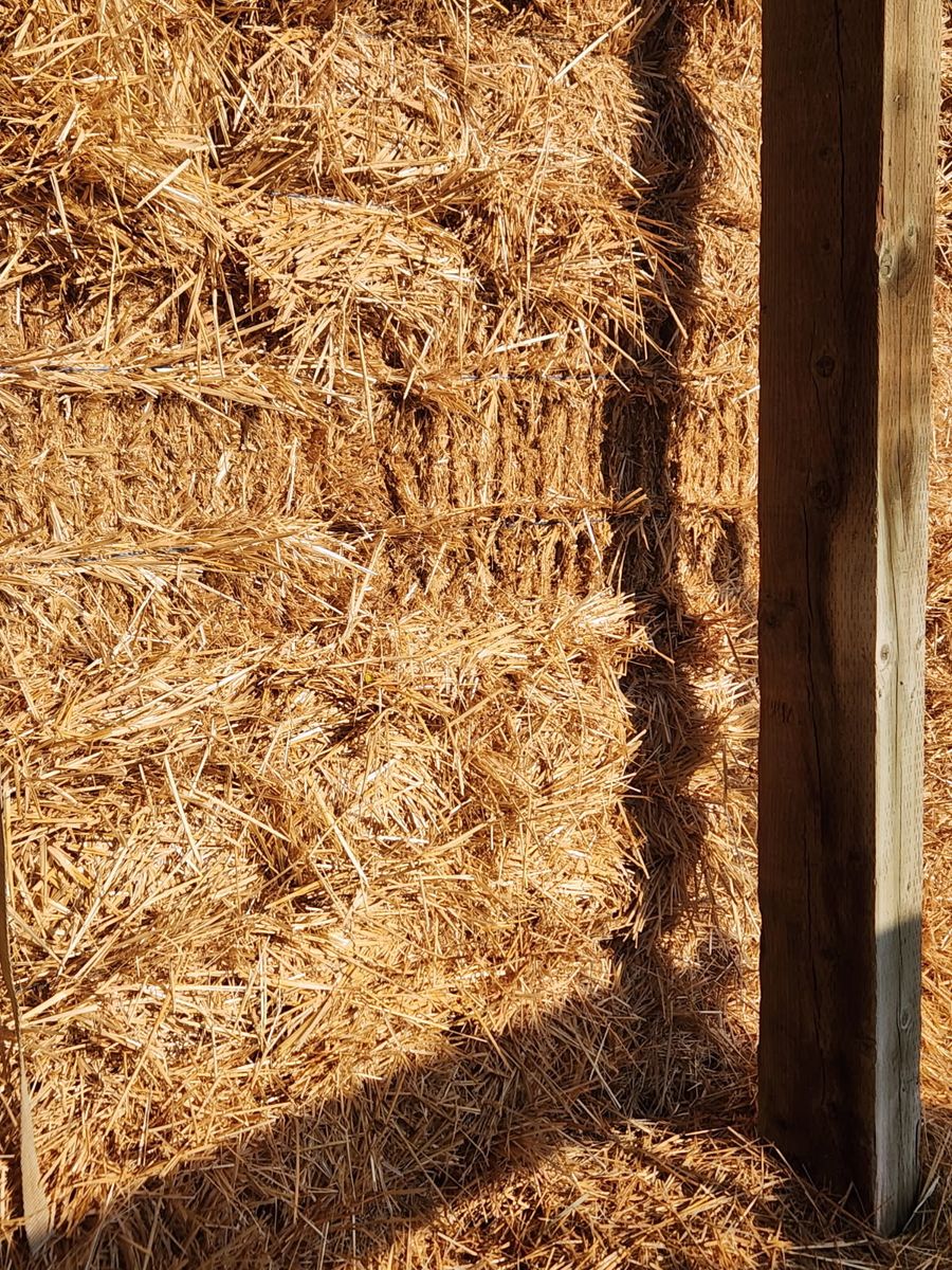 Wheat straw