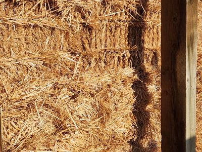 Wheat straw