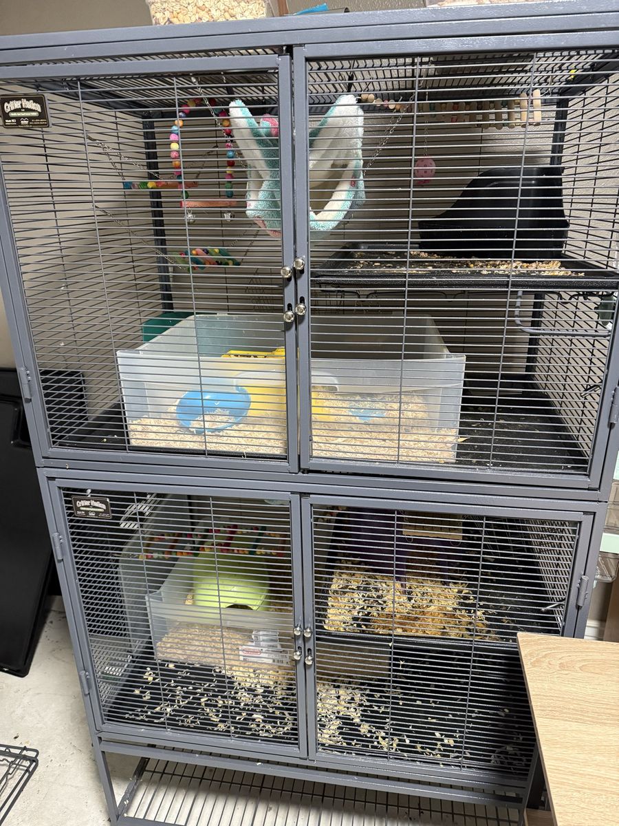 2 story Critter Nation Animal Cage/House