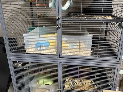 2 story Critter Nation Animal Cage/House