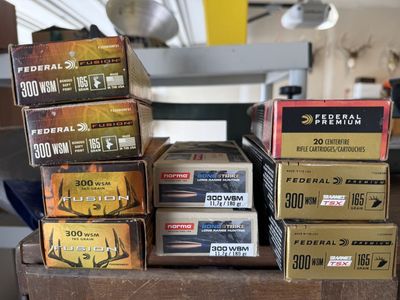 Ammo for 300WSM