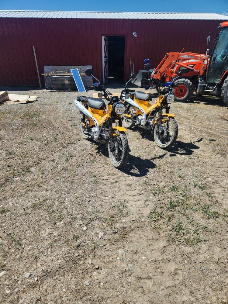 2024 Honda  CT125 Trail Motorcycles (Pair) - Yellow, Low Miles, Excellent Condition