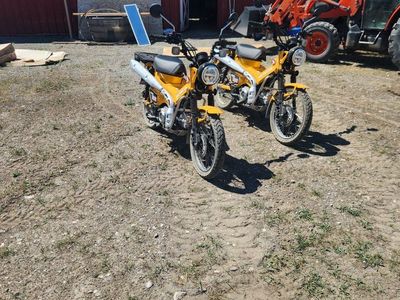 2024 Honda CT125 Trail Motorcycles (Pair) - Yellow, Low Miles, Excellent Condition