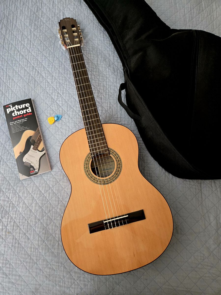 Guitar