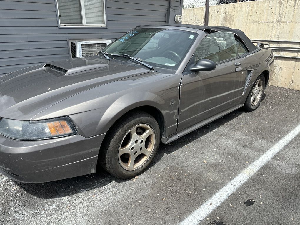 2004 Mustang  Convert  Top Needs Work