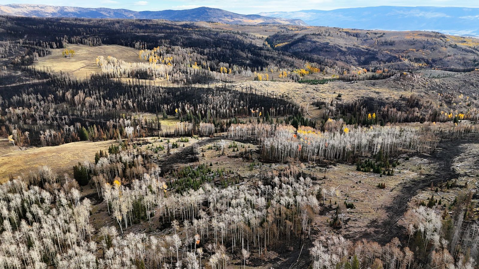 The Elk Pasture Ranch