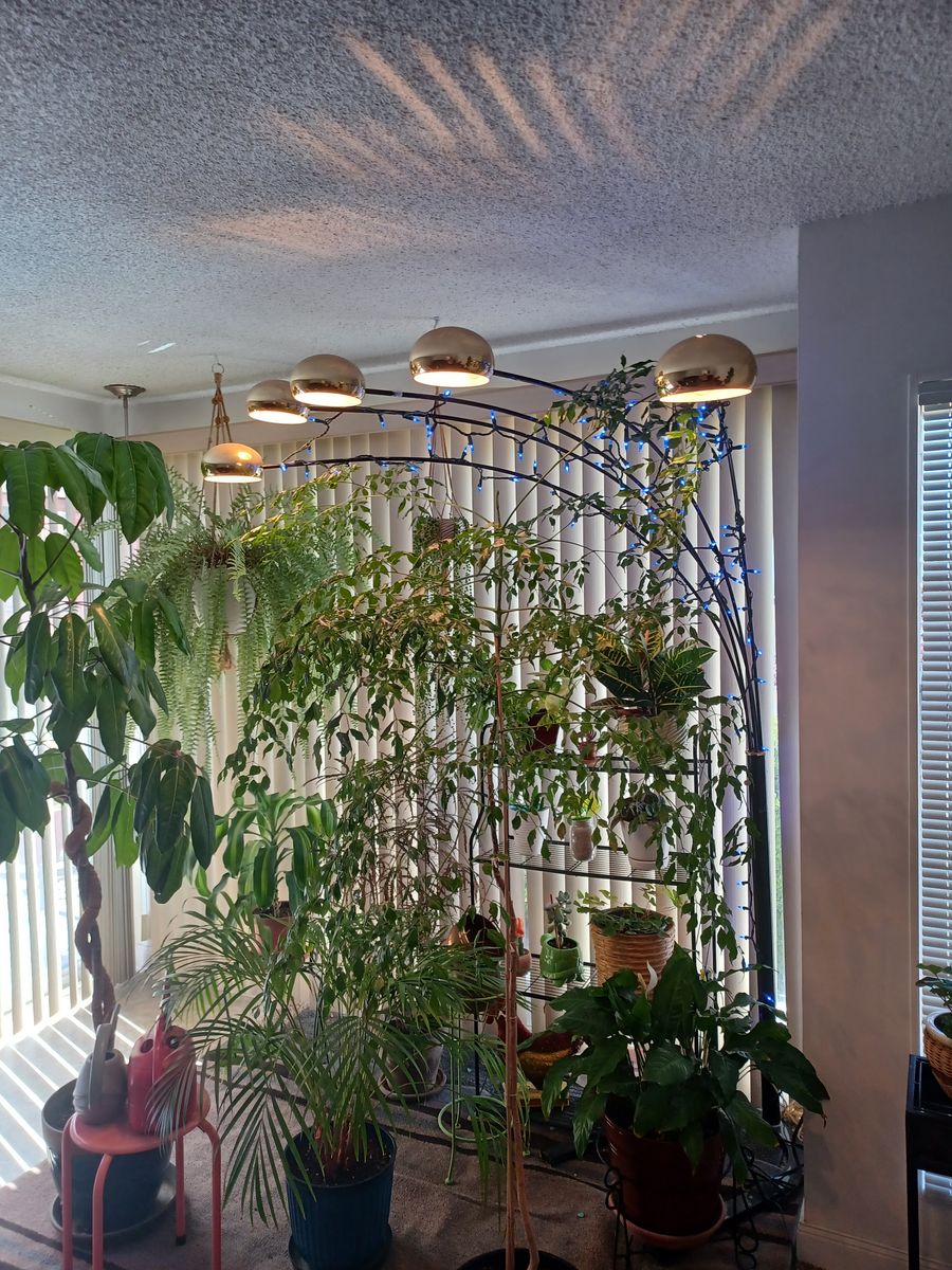Main image 2