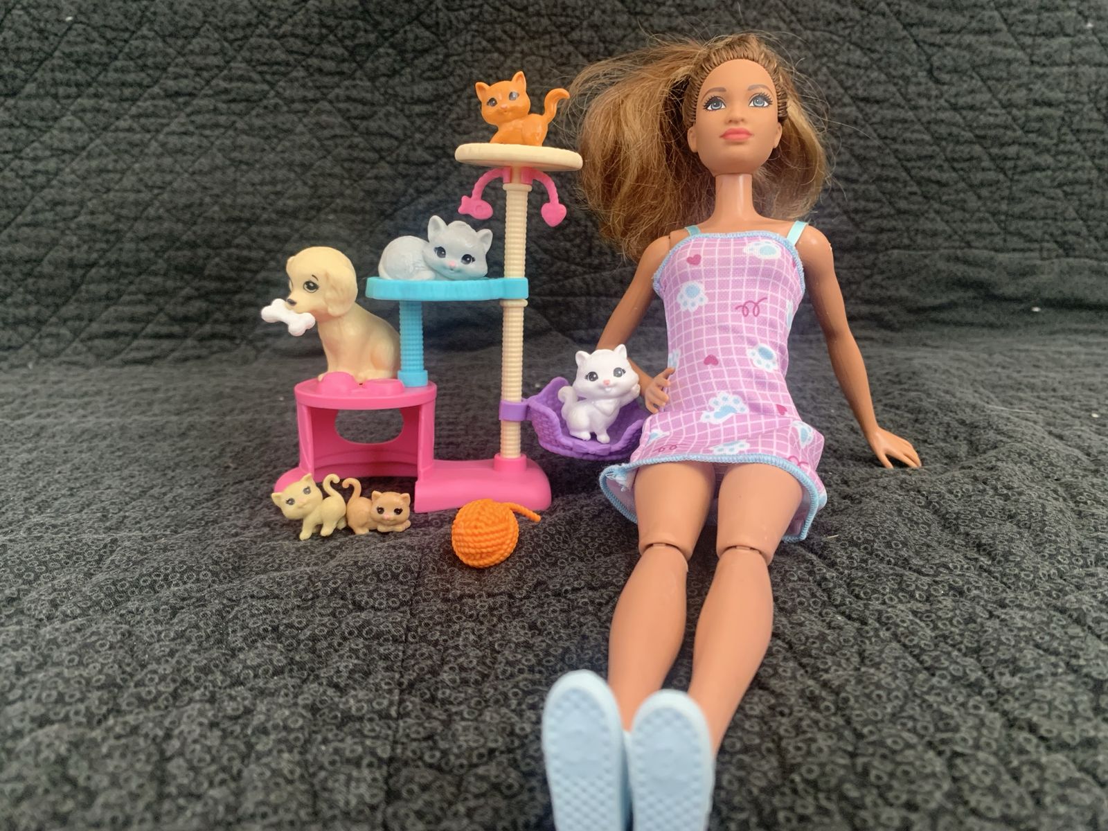 Barbie cat sitter
