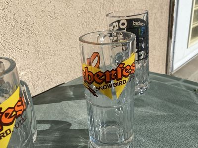 Snowbird Oktoberfest Glass Beer Mugs - Collectible Souvenir Drinkware