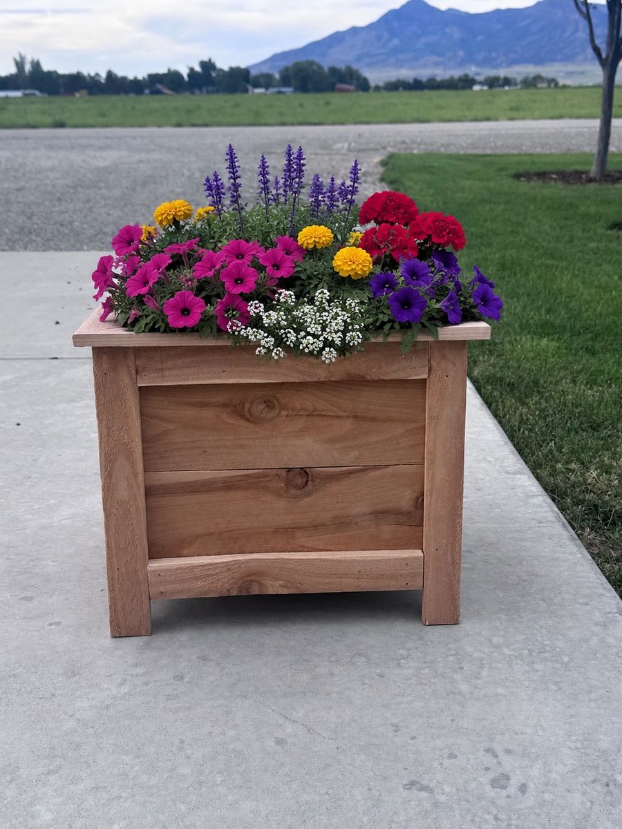Cedar planter boxes built by my son