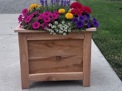 Cedar planter boxes built by my son