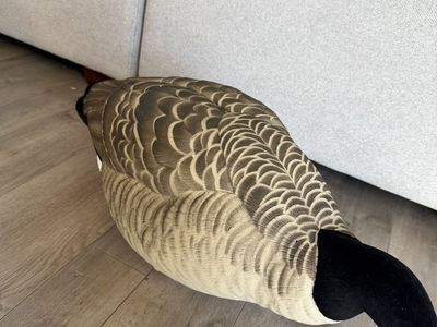 Goose decoys