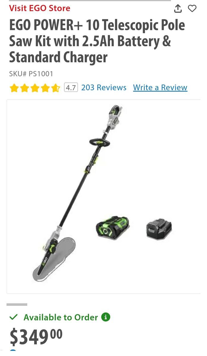 Ego Power Pole Saw Kit