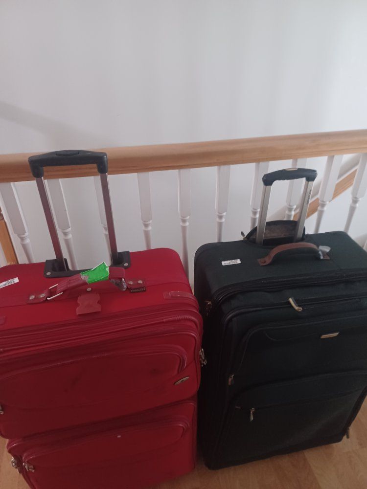 Set of 2 Rolling Suitcases Luggage Red and Green Wheeled Travel Bags