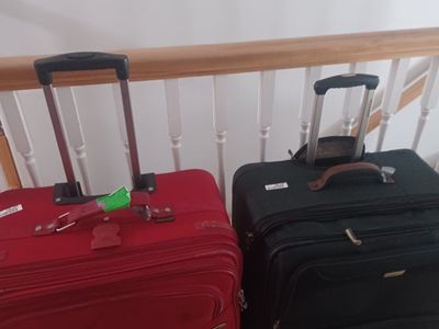 Set of 2 Rolling Suitcases Luggage Red and Green Wheeled Travel Bags