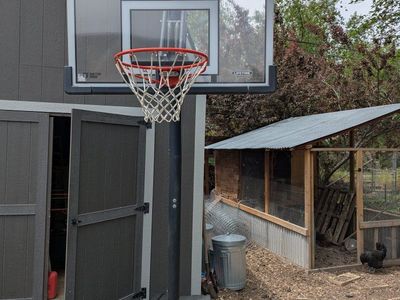 Basketball Hoop