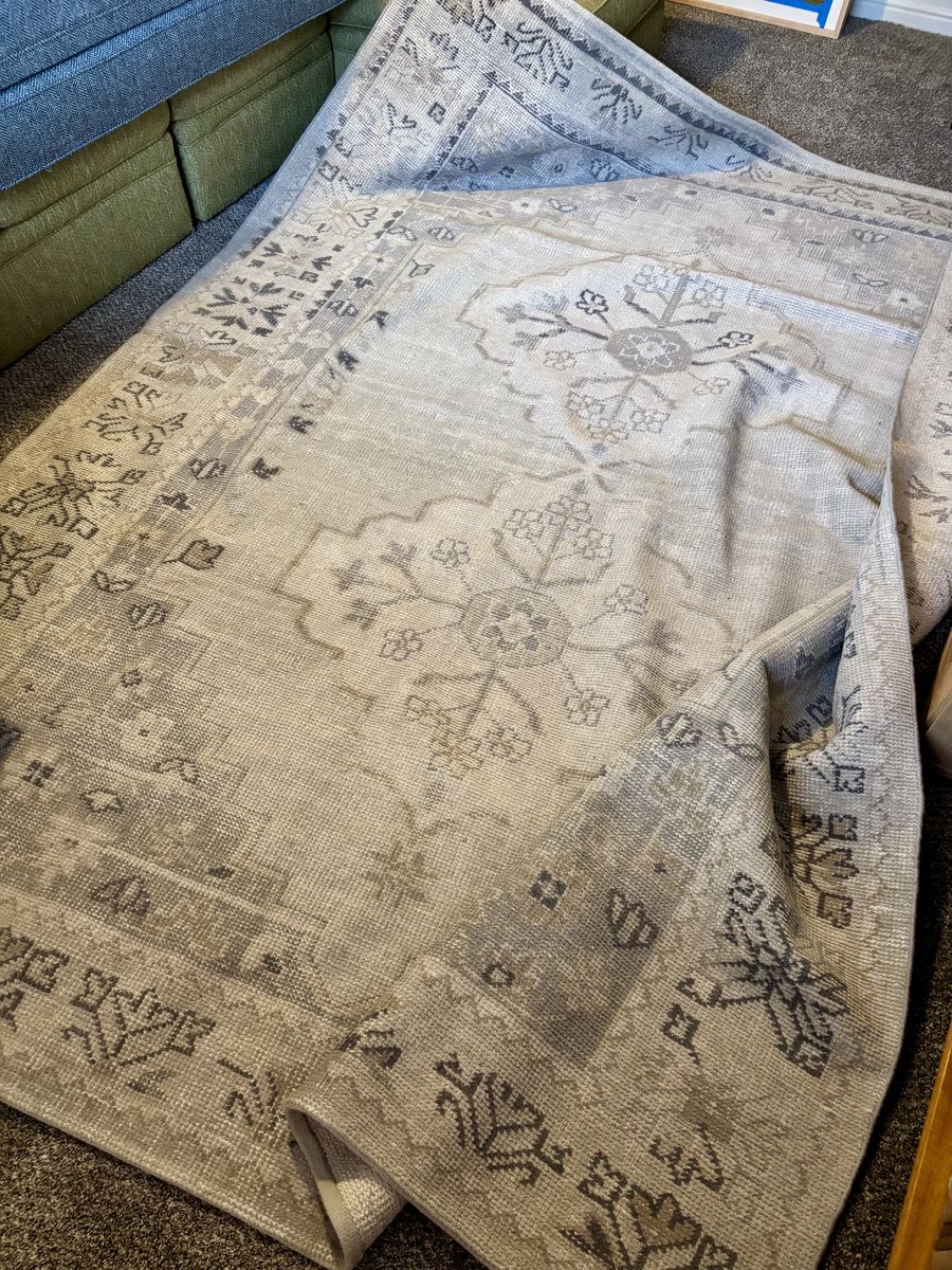 Pottery Barn 8x10 Aurelia Rug