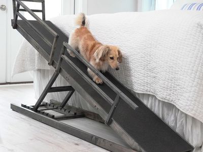 DoggoRamps Solid Hardwood Pet Ramp - Large, Adjustable, Non-Slip, for Beds & Furniture