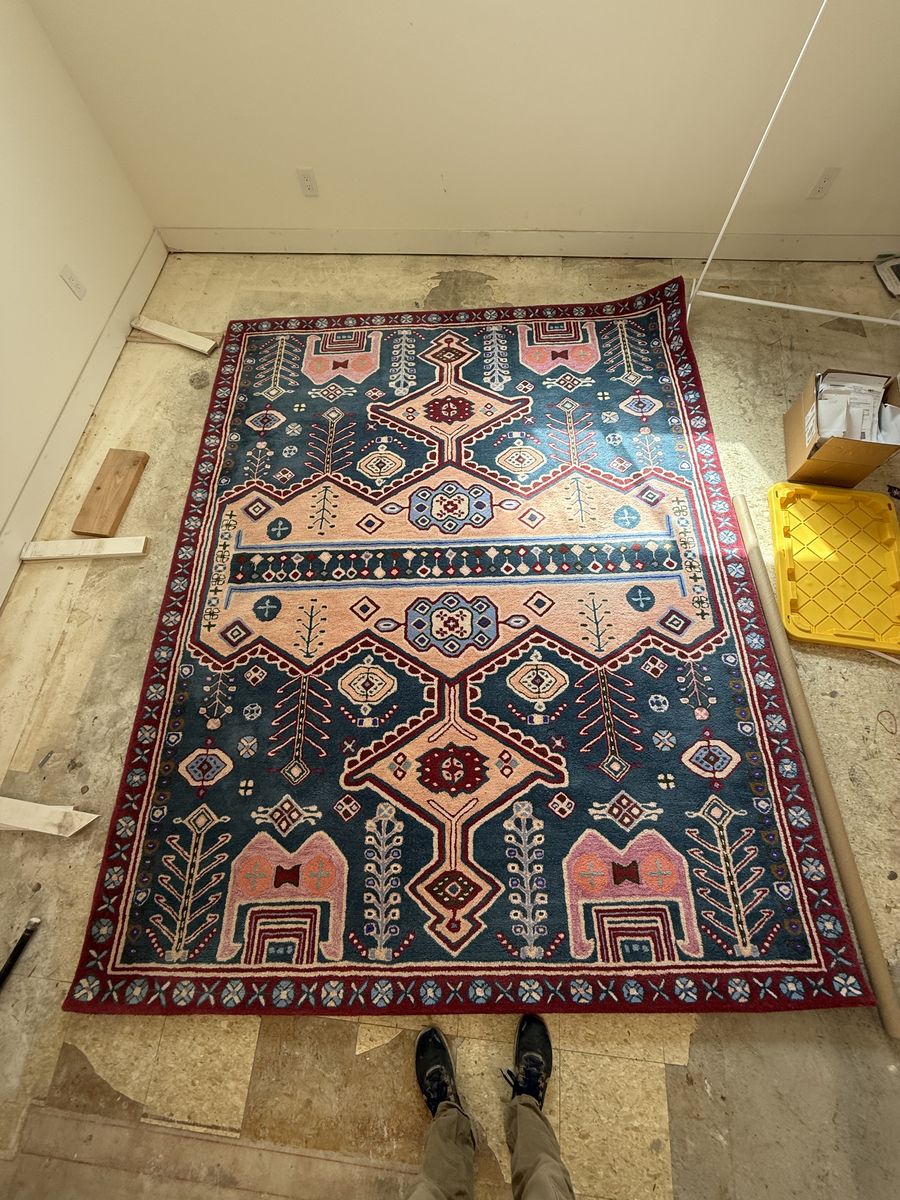 8x10 ANTHROPOLOGIE Hand Tufted Karli Rug