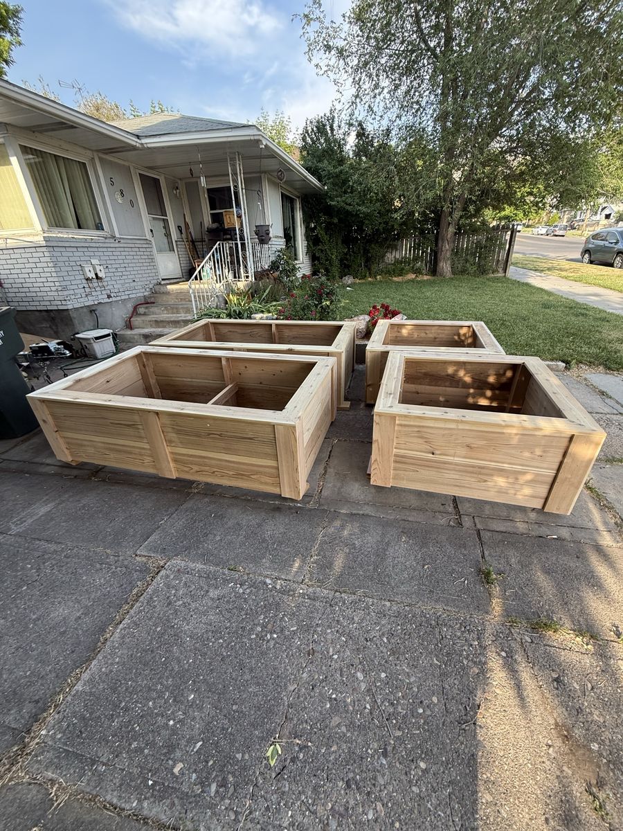 Cedar raised boxes