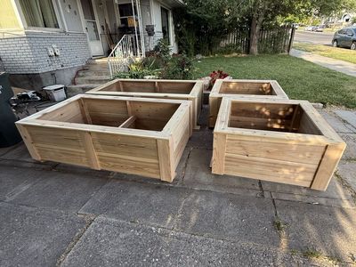 Cedar raised boxes