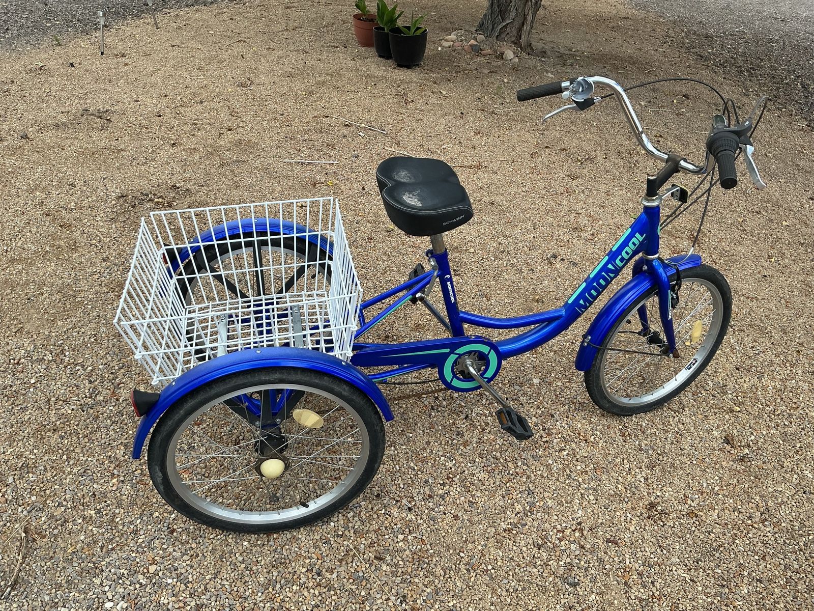 AdultTricycle