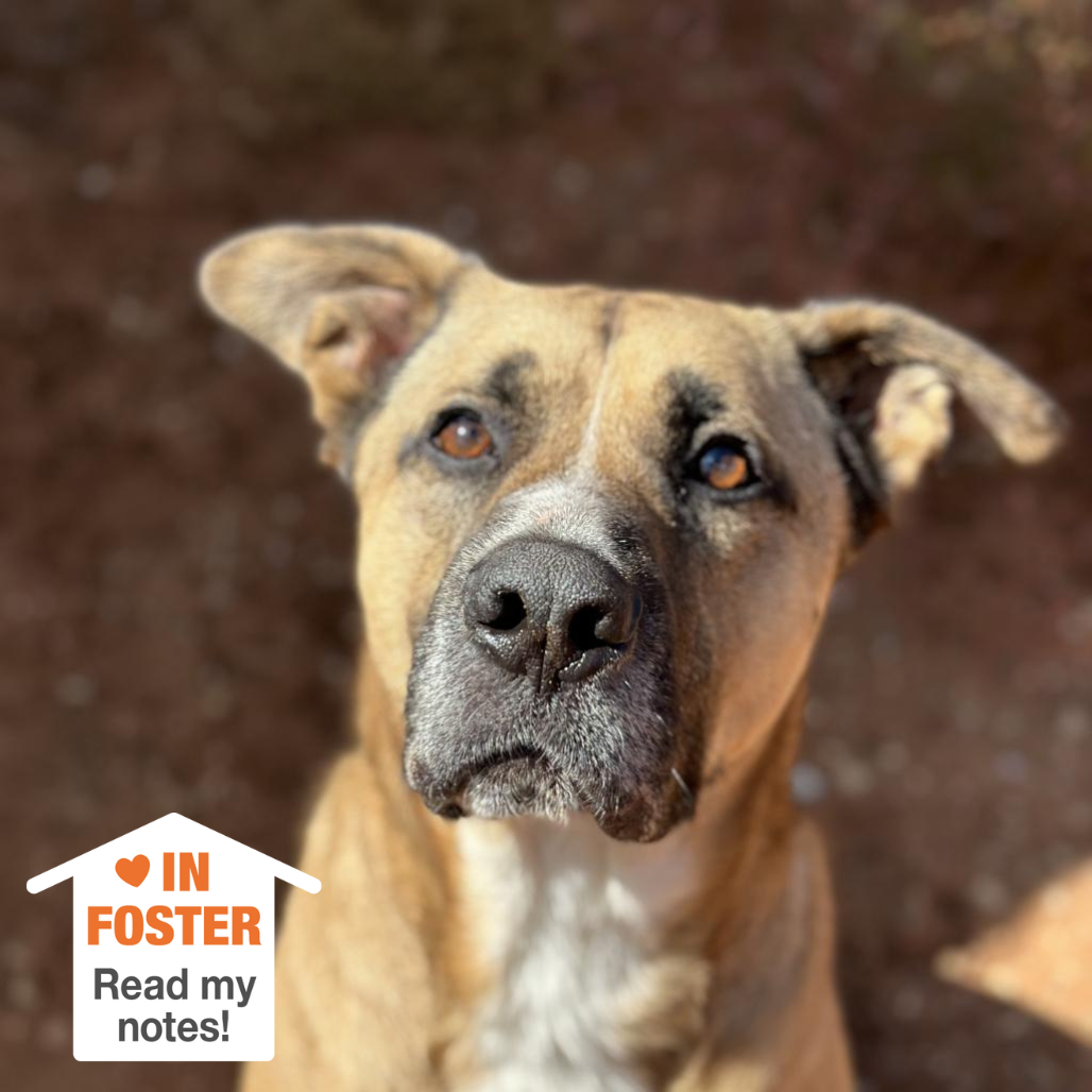 Hello my name is Roland