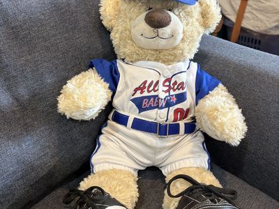 Boys Build A Bear Collection