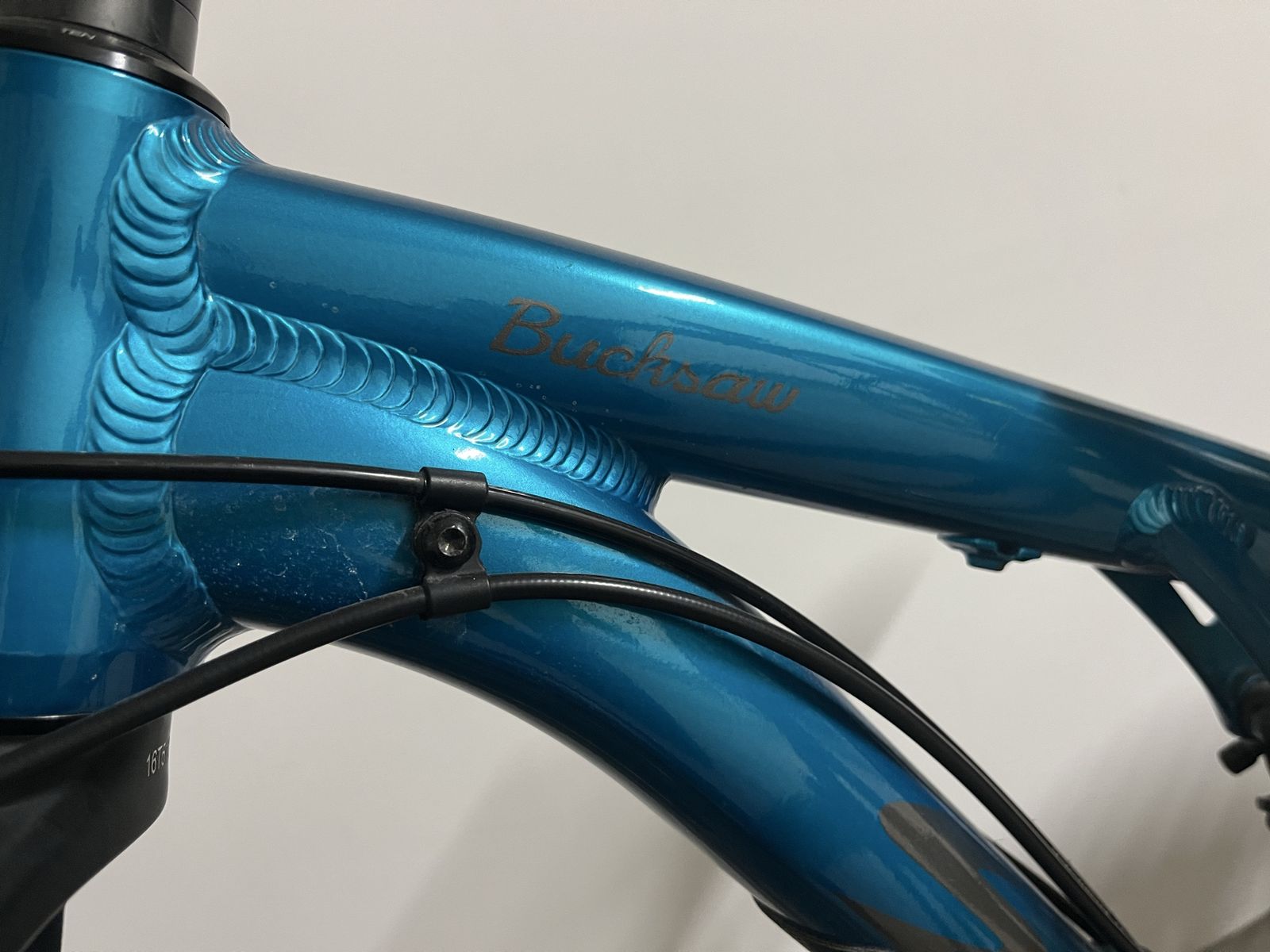 Salsa Bucksaw Fat Bike