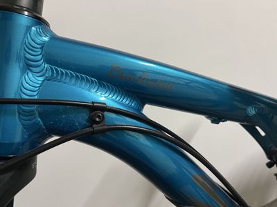 Salsa Bucksaw Fat Bike