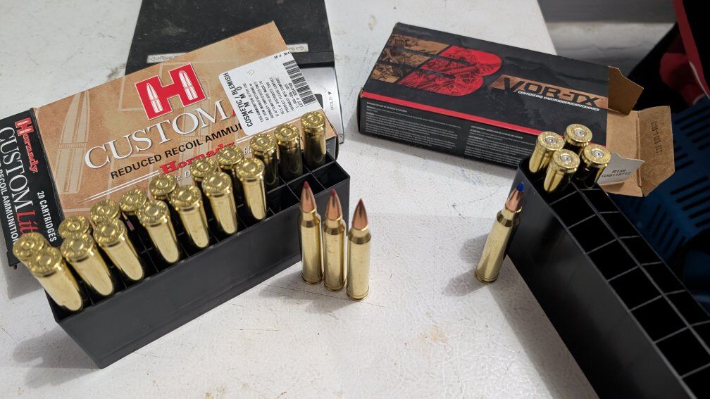 300 Win Mag Brass