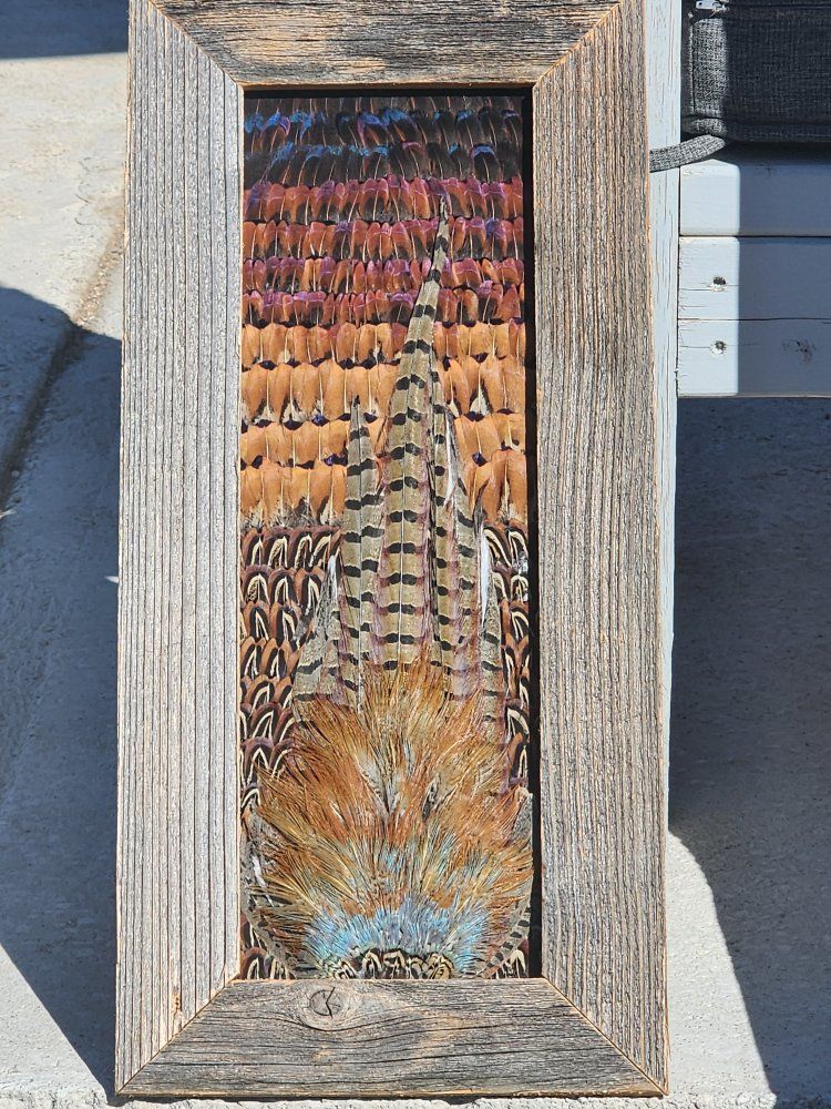 Pheasant Feather Art