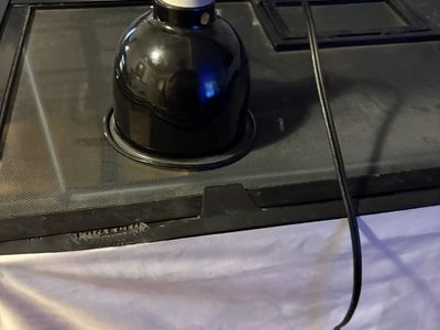 Reptile Dome Light 125 Wmax