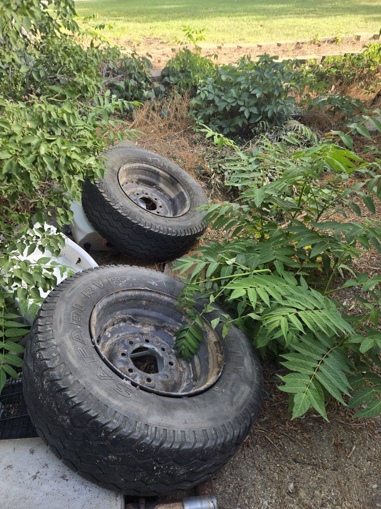 Free Rims and Tires