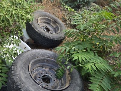 Free Rims and Tires