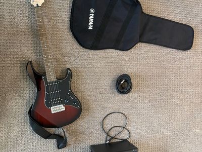 Electric guitar